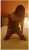 tunali escort nilgun (2)